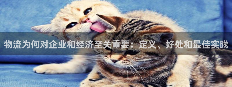 28圈电子游戏