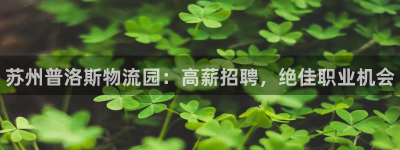 28圈app怎么注册账号：苏州普洛斯