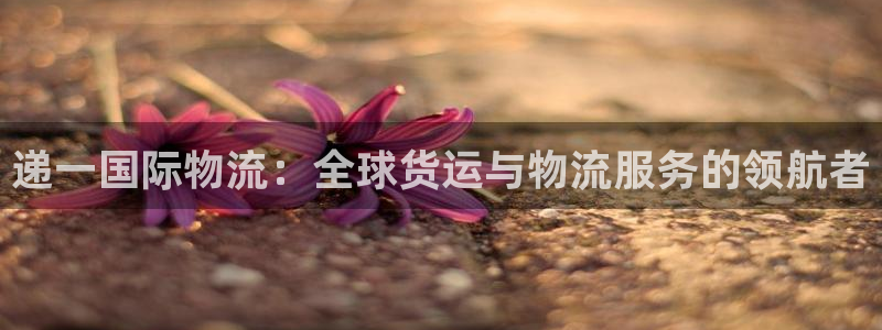 28圈注册流程：递一国际物流：全球货