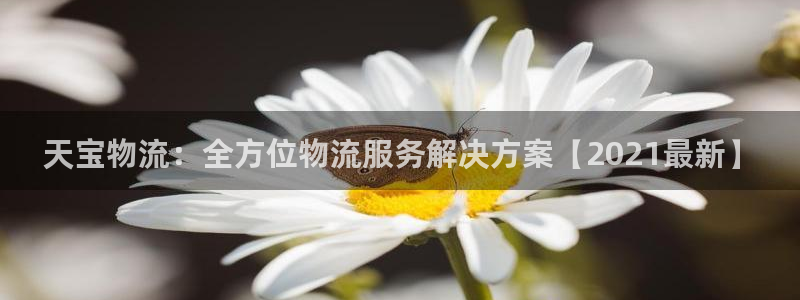 28圈充值不到账怎么办：天宝物流：全