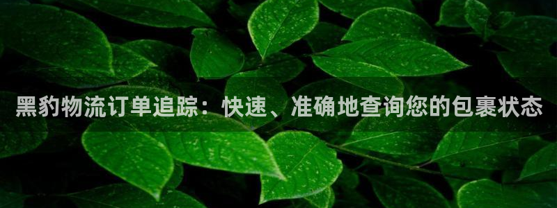 28圈免费充钱