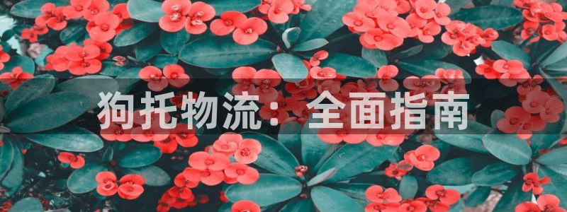 28圈的自行车