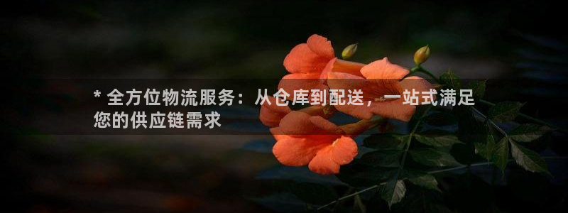 28圈旗下