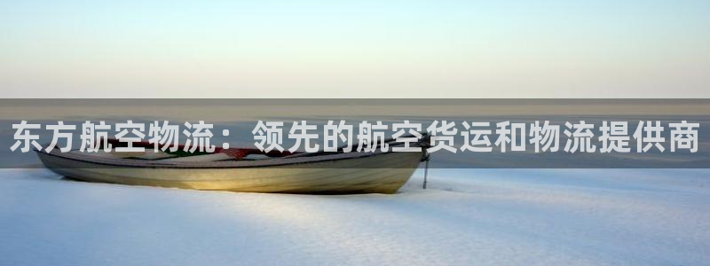 28圈怎么注册下载：东方航空物流：领