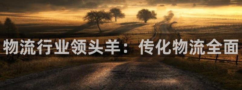 28圈官方版网站：物流行业领头羊：传