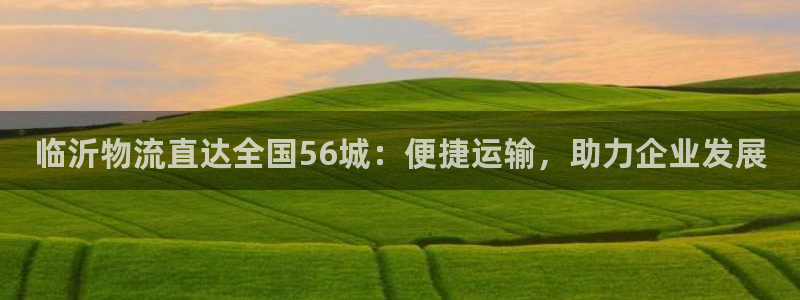 28圈登录不上咋回事：临沂物流直达全