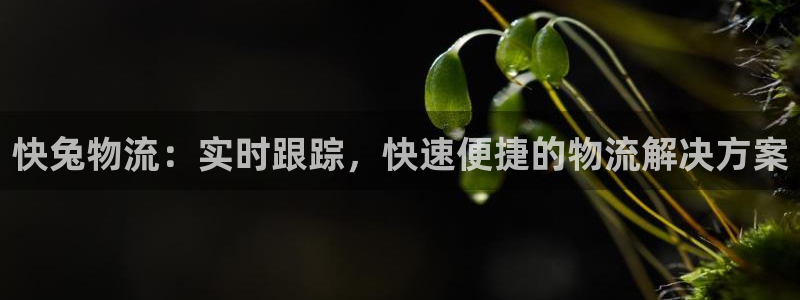 28圈充值不到账：快兔物流：实时跟踪