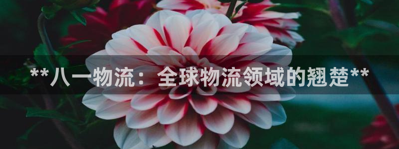 28圈的自行车