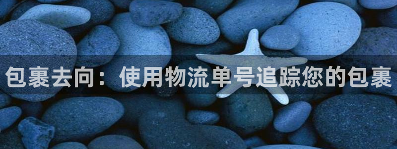 28圈取保：包裹去向：使用物流单号追