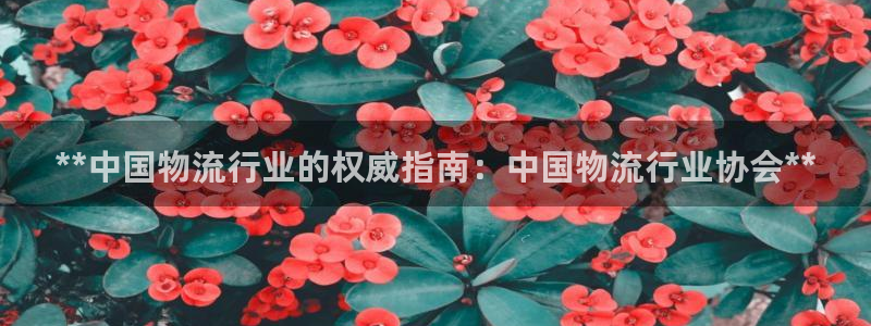 28圈注册网站链接怎么弄：**中国物