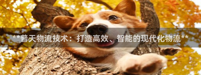 28圈注册号：**普天物流技术：打造