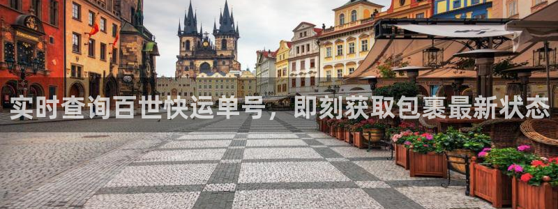 28圈麻将：实时查询百世快运单号，即