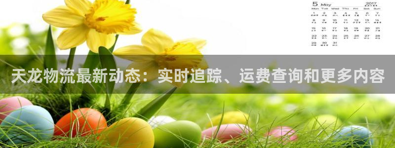28圈登录不上咋回事：天龙物流最新动