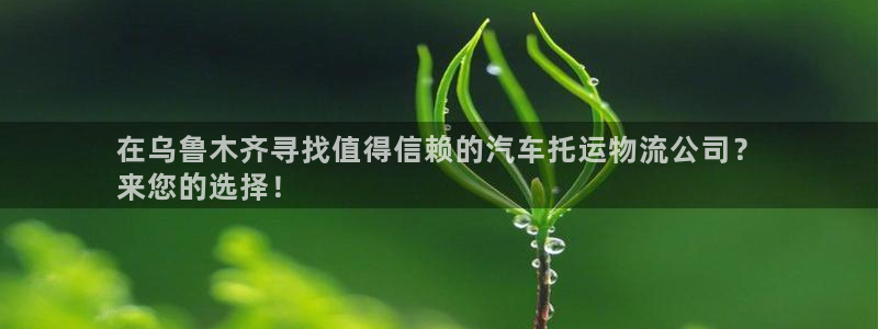 28圈相信品牌的力量：在乌鲁木齐寻找