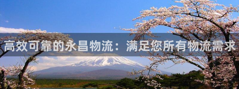 28圈注册链接：高效可靠的永昌物流：