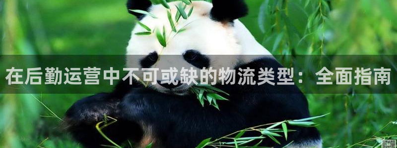 28圈哪个最赚钱