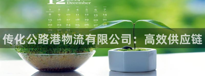 28圈官网平台下载：传化公路港物流有