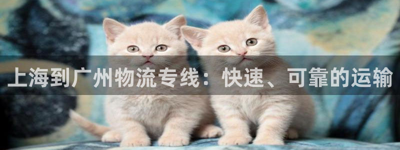 28圈加拿大预测