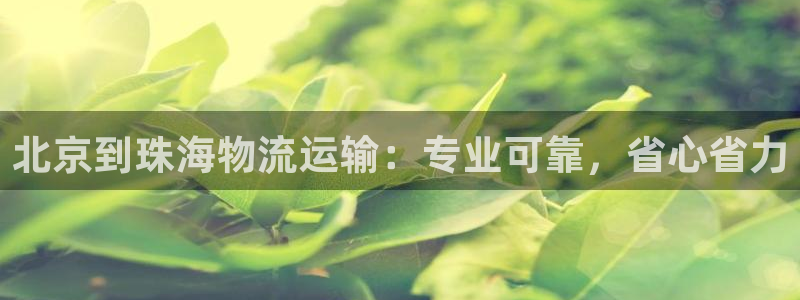 28圈大舞台