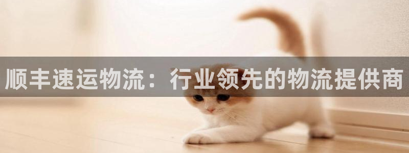 28圈图片：顺丰速运物流：行业领先的