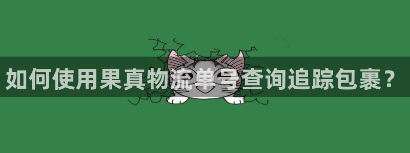 28圈电子：如何使用果真物流单号查询
