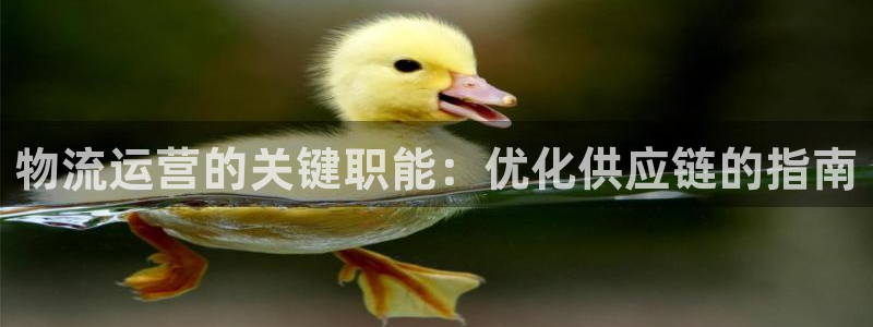 28圈官网预测