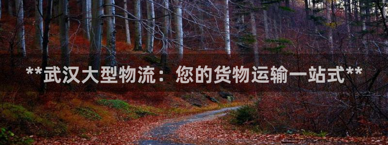 南宫28圈怎么注册：**武汉大型物流