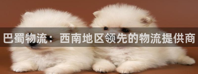 28圈客服一直不回消息怎么办：巴蜀物