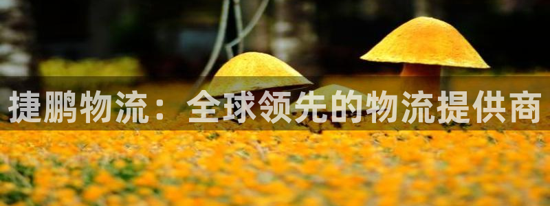 28圈反水