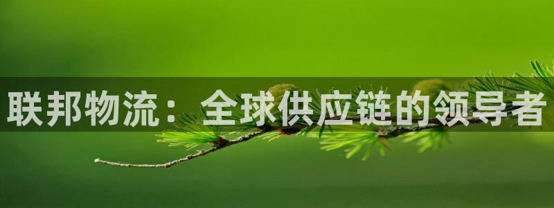 28圈不给提现：联邦物流：全球供应链