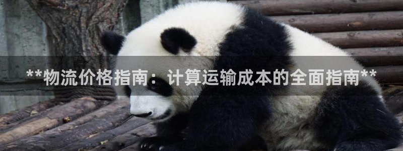 28圈pg麻将胡了：**物流价格指南