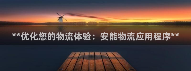 28圈是啥：**优化您的物流体验：安