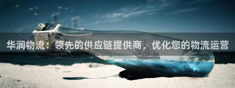 28圈软件：华润物流：领先的供应链提