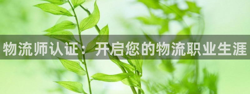 28圈.ccm正版：物流师认证：开启