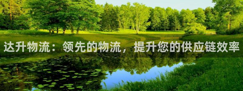 28圈的自行车：达升物流：领先的物流