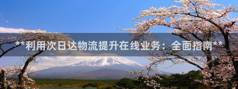 28圈大舞台：**利用次日达物流提升