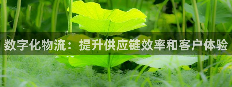 28圈