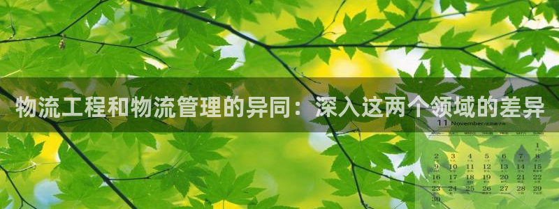 28圈连接