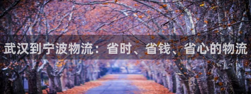 28圈注册用户名是什么：武汉到宁波物