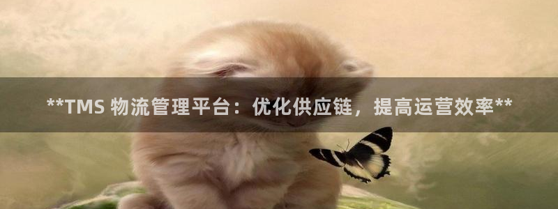 28圈登陆网：**TMS 物流管理平