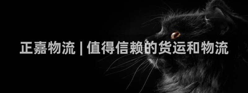 28圈.ccmo：正嘉物流 | 值得