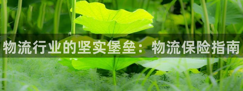 28圈.ccmpc29官网版下载：物