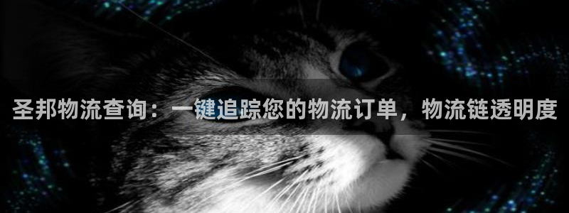 28圈的自行车：圣邦物流查询：一键追