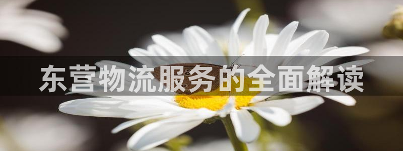 28圈注册登录链接流程：东营物流服务