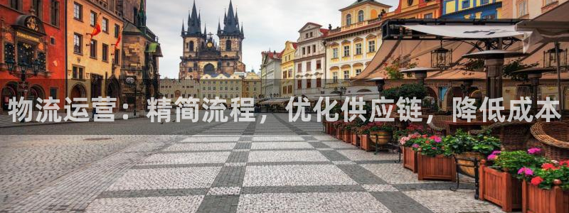 28圈登录流程：物流运营：精简流程，