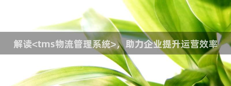 28圈吧