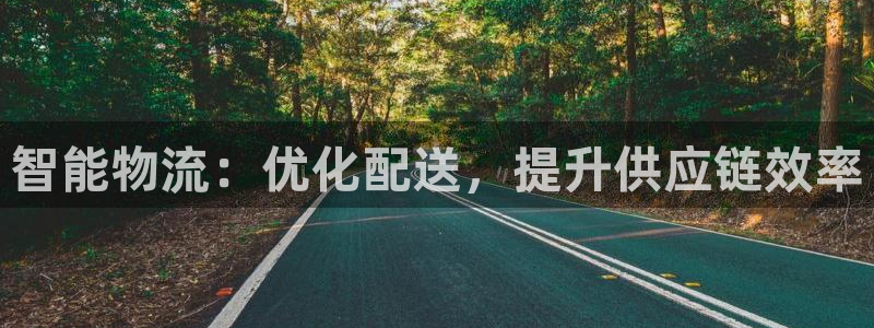 28圈大神预测：智能物流：优化配送，