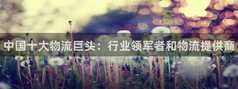 28圈.ccm正版：中国十大物流巨头