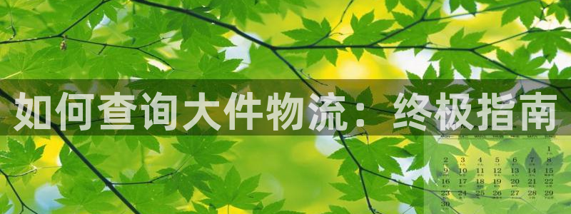 28圈开奖预测：如何查询大件物流：终