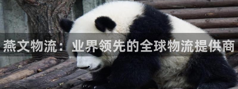 加拿大28圈是什么：燕文物流：业界领